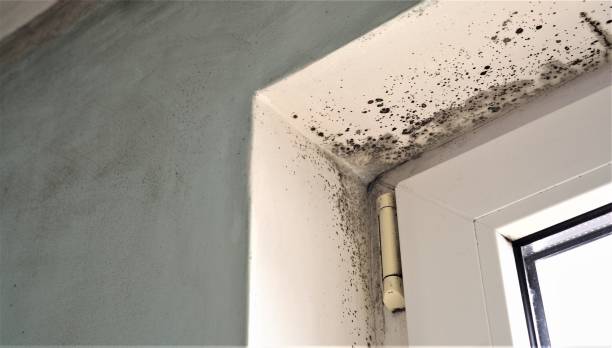 Best Indoor Air Quality Assessment  in Welch, WV