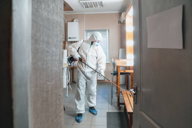 Best Asbestos and Lead Testing During Mold Inspection  in Welch, WV