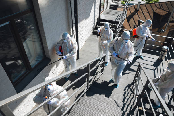 Best Black Mold Removal  in Welch, WV