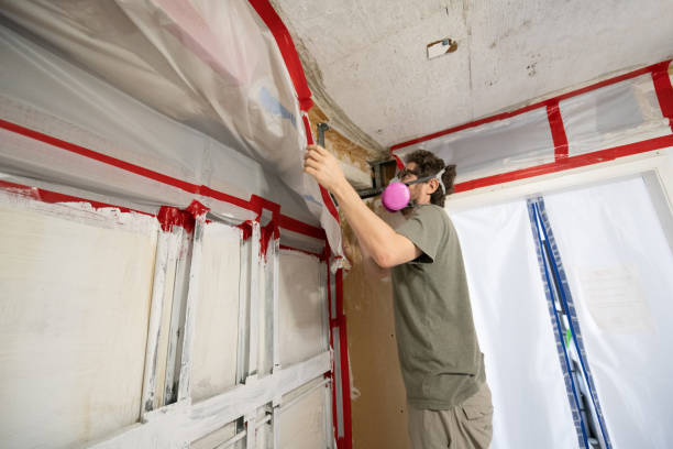 Best Commercial Mold Inspection  in Welch, WV