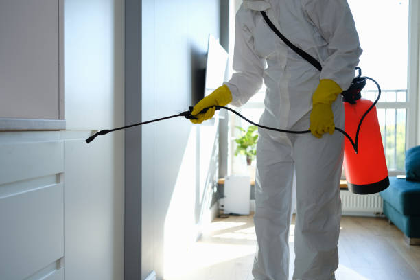 Best Forensic Mold Investigation  in Welch, WV