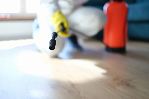 Best Real Estate Mold Inspection  in Welch, WV
