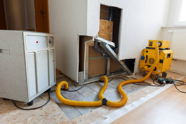Best Environmental Consulting for Mold Prevention  in Welch, WV