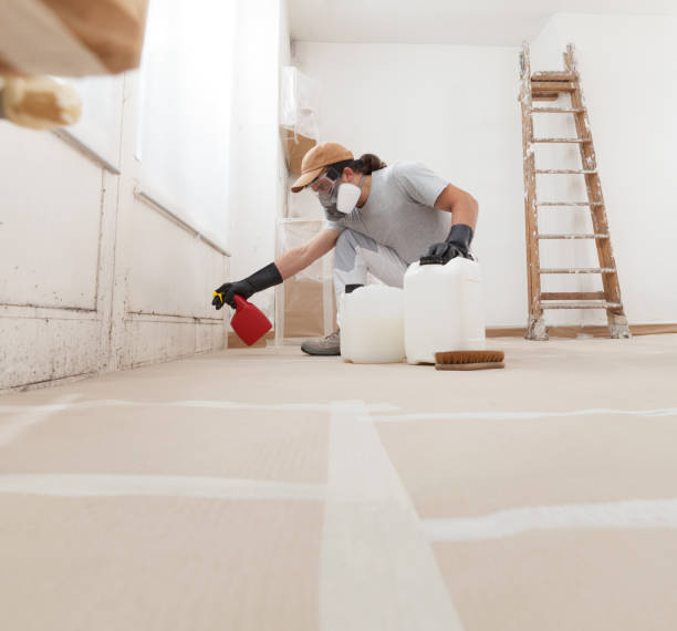 Best Air Quality Testing for Mold Spores  in Welch, WV